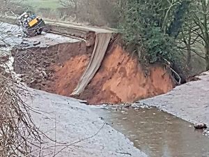 Supporting image for story: Boats stranded as canal collapses
