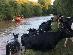 Pictures: @SFRS_MDrayton