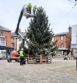 The Ludlow Christmas tree. Photo: Andy Boddington.