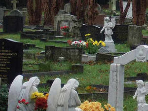 Supporting image for story: Council burial charges on the rise for families