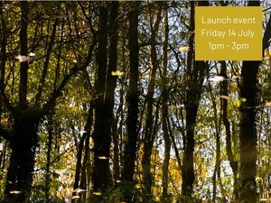 Supporting image for story: Exhibition aims to show areas of natural beauty on outskirts of city