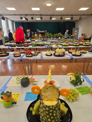 Main room with junior section