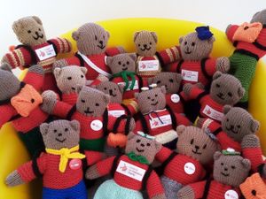 Supporting image for story: Ziplining teddies to return for charity market