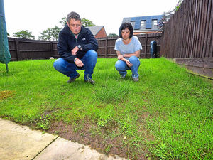 Supporting image for story: Shifnal gardens 'like a swamp' because of bad drainage, residents claim