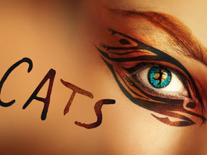 Supporting image for story: Andrew Lloyd Webber’s Cats musical is coming to Birmingham - here’s when and how to get tickets