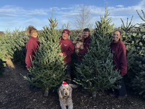 Supporting image for story: Christmas tradition sees family celebrate 25 years of famous festive firs