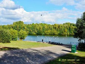 Supporting image for story: Low light and dark skies #photography