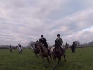Supporting image for story: Hunt saboteur taken to hospital after being hit by horse 