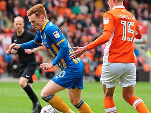 Supporting image for story: Comment: Lull finally over but Shrewsbury's rest will have been beneficial