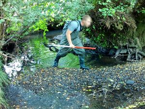 Supporting image for story: Welsh farmers and landowners launch legal action against Green GEN Cymru