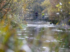 Supporting image for story: Call for action after 90% of national park’s rivers fail to reach ‘good’ status
