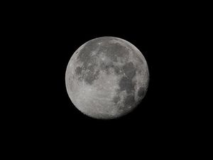 Supporting image for story: The moon may once have supported life, say scientists