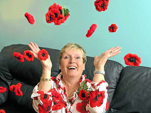 Supporting image for story: Housewife knits thousands of poppies for charity