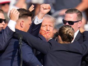 Supporting image for story: Donald Trump says bullet ‘pierced’ his ear in shooting at rally