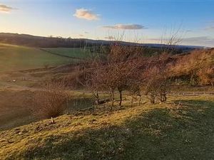 Police visited the Old Oswestry Hillfort after receiving reports of people riding bikes and making ramps. Picture: West Mercia Police. 