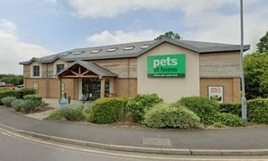 Hill stole dog harnesses worth £200 from Pets at Home. Photo: Google