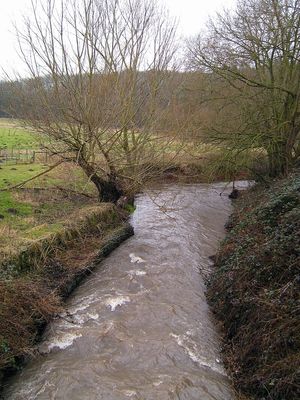 Smestow Brook at Swindon