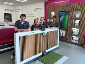 Supporting image for story: Kingswinford veterinary practice is second outside the US to secure new trailblazing accreditation