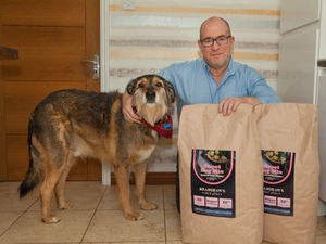 Supporting image for story: Dog meals are really paw-some