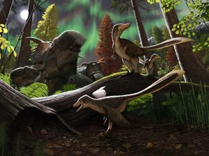 Supporting image for story: Scientists may have found new dinosaur species that roamed the ancient Arctic