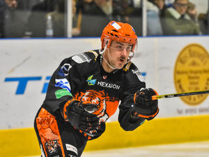 Supporting image for story: Tigers mauled by the Wildcats
