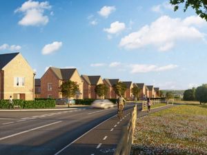 Supporting image for story: Campaigner stepping up opposition to 299 Telford homes in scheme described as 'flawed'