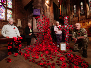 Supporting image for story: Stunning cascade of poppies at Shrewsbury Abbey in show of remembrance