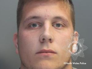 Supporting image for story: Rapist dubbed 'danger to society' by police gets 11-year sentence