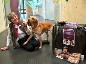 Supporting image for story: Shropshire business helps two animal rescue charities