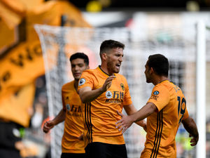Supporting image for story: Wolves 2 Watford 0 - Report and pictures