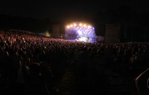 The crowd gathered for Paloma Faith. Picture: Andy Shaw