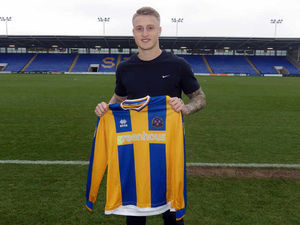 Supporting image for story: Shrewsbury Town sign Fulham striker Stephen Humphrys on loan