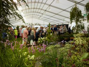 Supporting image for story: Shrewsbury Flower Show organisers draft in bigger marquee after rise in bookings