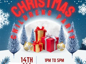 Supporting image for story: Children's Christmas party at a Mid Wales venue