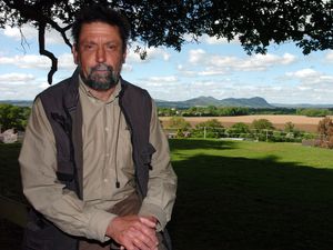 Supporting image for story: Tree threatened by CCTV upgrade is spared the chop