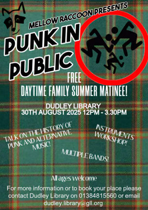 The Punk in Public poster