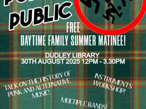 Supporting image for story: Punk in Public at Dudley Library