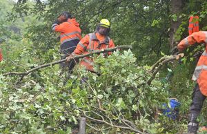 Around 50 workers are dealing with the incident.