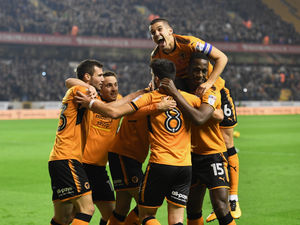 Supporting image for story: Wolves blog: Is Molineux becoming a fortress once again?