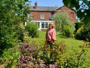 Supporting image for story: Two towns to open up private gardens for good cause