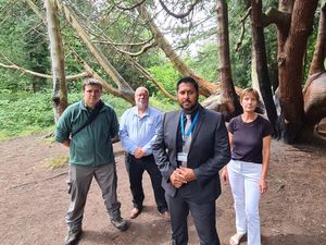 Supporting image for story: Plans to save Dudley's 200-year-old 'wishing tree' unveiled
