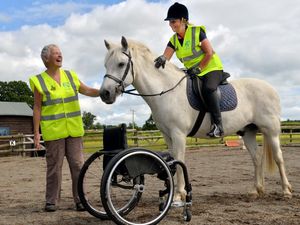 Supporting image for story: Horse lovers urged to sign up and support UK relay event's visit to county