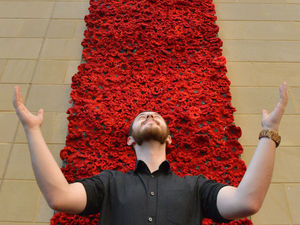 Supporting image for story: Poppy creation on display in Shrewsbury