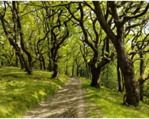 The Heart of Wales trainline - Knucklas to Bucknell takes place on Friday, September 19 and covers 13 miles