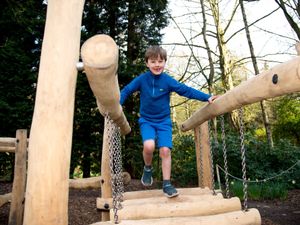 Supporting image for story: Weston Park's Woodland Adventure Playground gets two new attractions