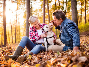 Supporting image for story: Top dog-friendly attractions in the Midlands and Shropshire