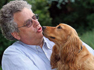 Supporting image for story: Cocker spaniel tops list of unusual gifts