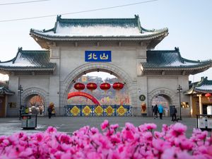 Supporting image for story: Man arrested over stabbing of four US college instructors in Chinese park