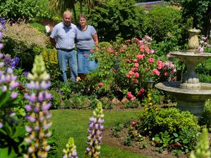 Supporting image for story: Secret garden hidden away in Ludlow opens for National Garden Scheme 
