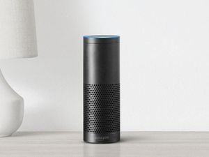 Supporting image for story: Alexa can now make family announcements across the whole house